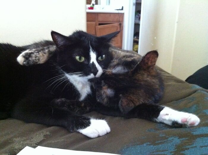 She Loves Him Way Too Much (And It Annoys Him)