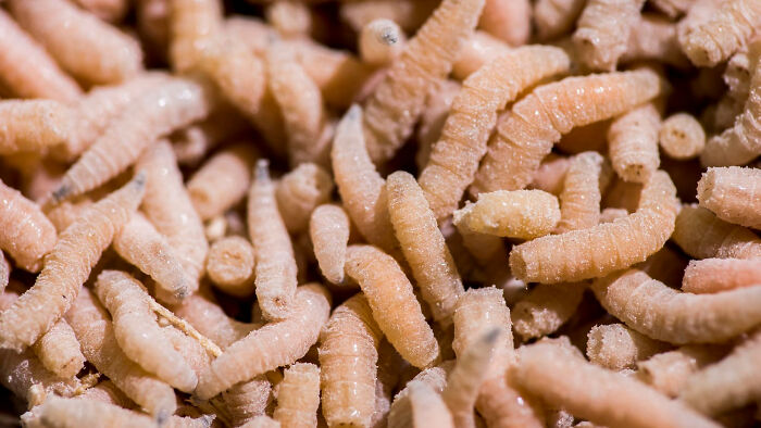 The 28 Wildest Gross-Out Moments Medical Pros Wish They Could Forget