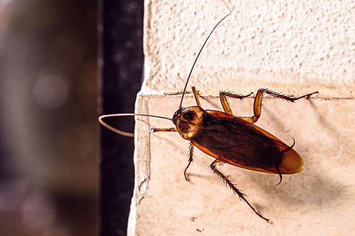 The 28 Wildest Gross-Out Moments Medical Pros Wish They Could Forget