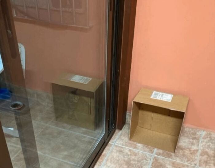 Schrodinger's Cat, But Make It Real-ish