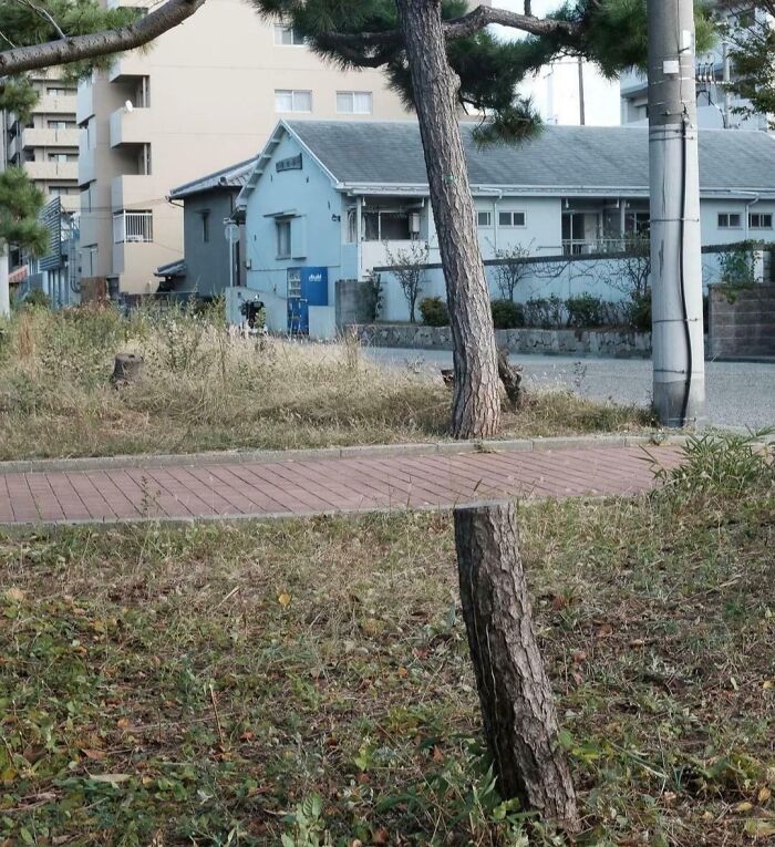 Nice! Wait, What’s Even Going On Here?