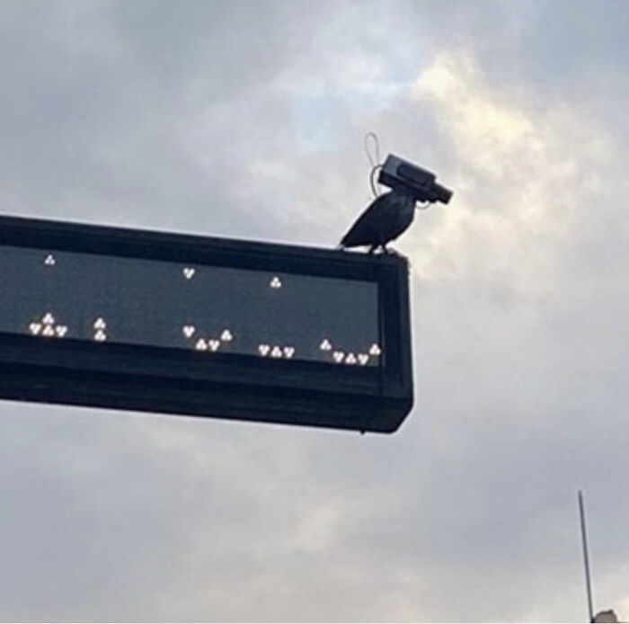 Wait, How Did These Photos Trick Our Brains? Perspective Magic Inside!