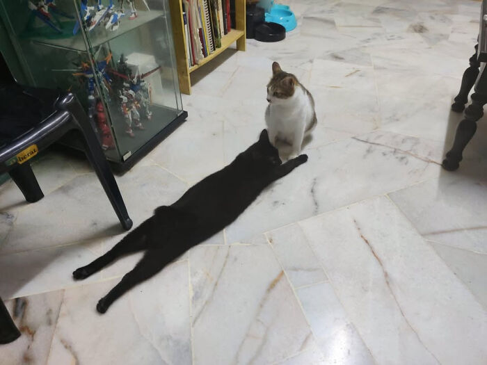 Wait, How Did These Photos Trick Our Brains? Perspective Magic Inside!