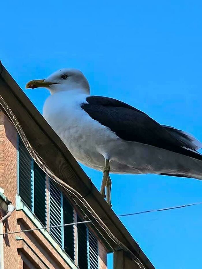 Wait, How Did These Photos Trick Our Brains? Perspective Magic Inside!