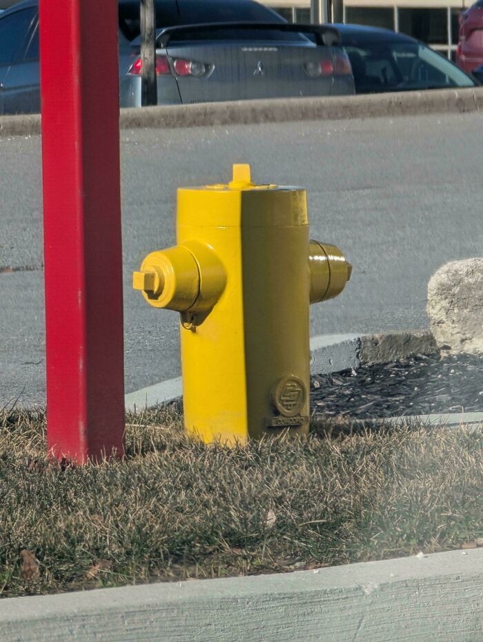 Wait, How Did These Photos Trick Our Brains? Perspective Magic Inside!
