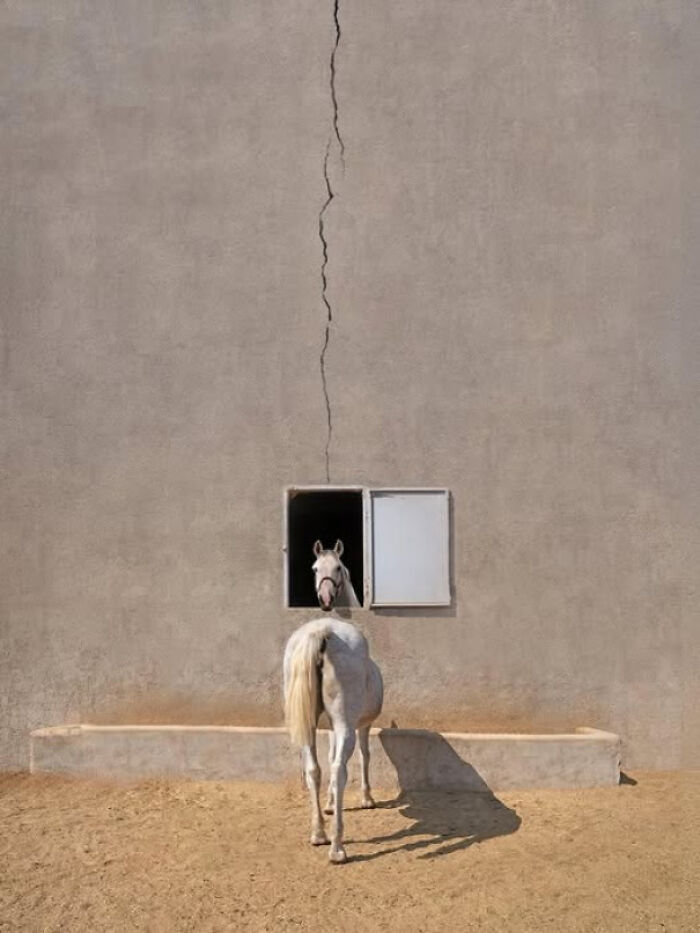 Wait, How Did These Photos Trick Our Brains? Perspective Magic Inside!