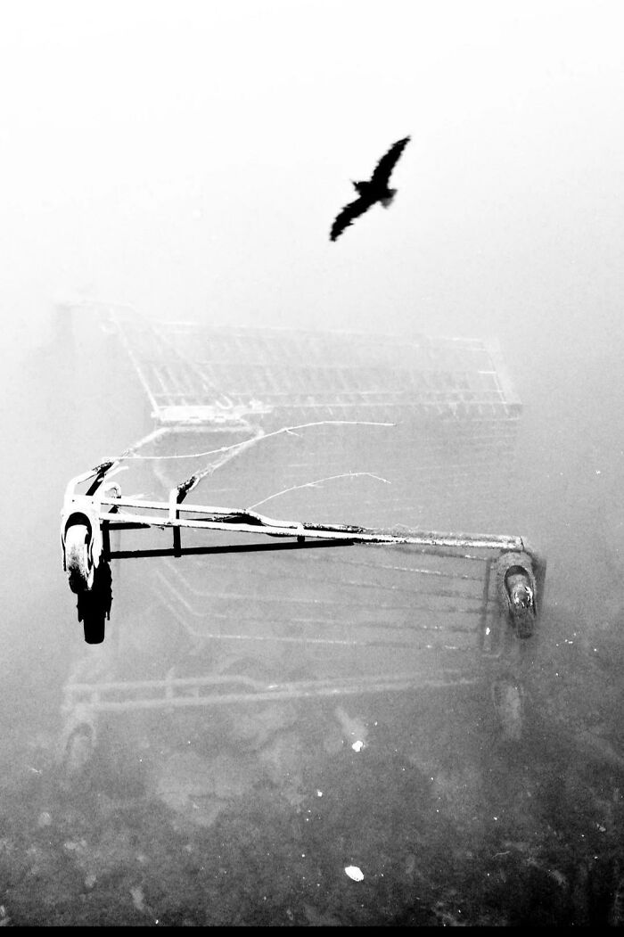Wait, How Did These Photos Trick Our Brains? Perspective Magic Inside!