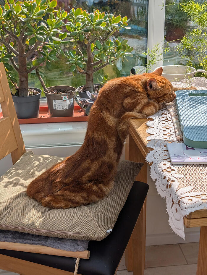 Wait, How Did These Photos Trick Our Brains? Perspective Magic Inside!