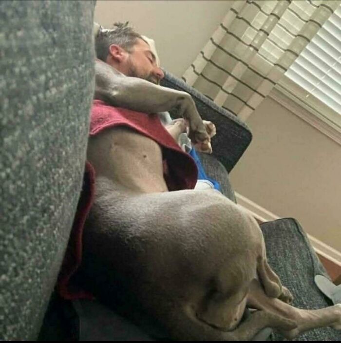 Wait, How Did These Photos Trick Our Brains? Perspective Magic Inside!