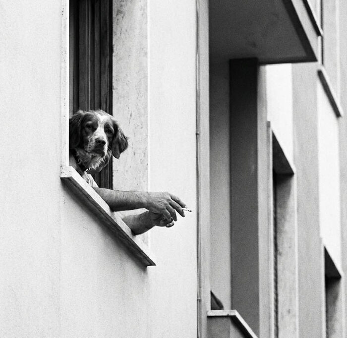 Wait, How Did These Photos Trick Our Brains? Perspective Magic Inside!