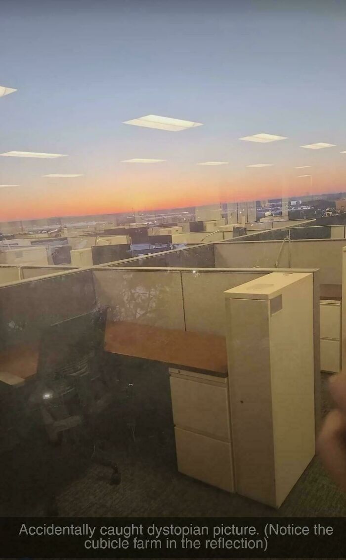 Wait, How Did These Photos Trick Our Brains? Perspective Magic Inside!