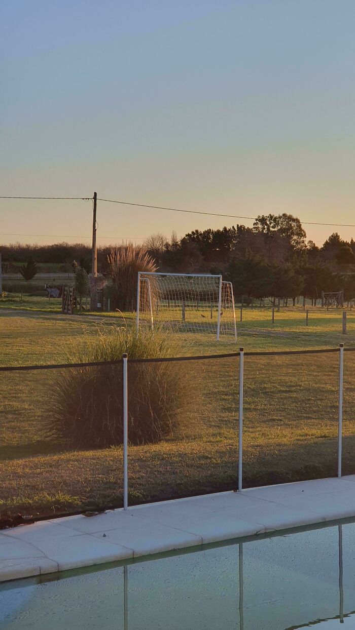 Wait, How Did These Photos Trick Our Brains? Perspective Magic Inside!