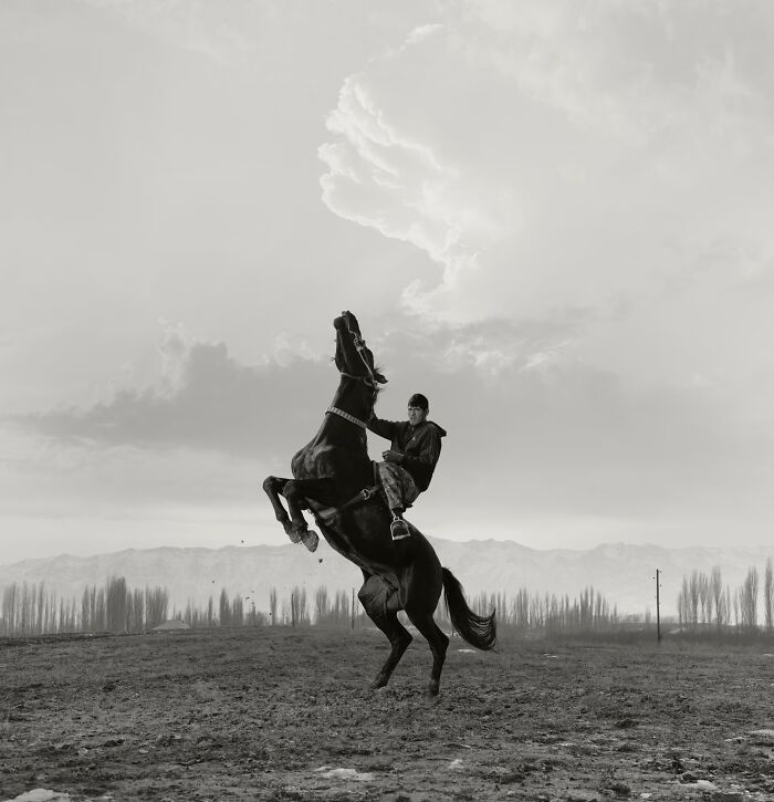 "Buzkashi" by Todd Antony