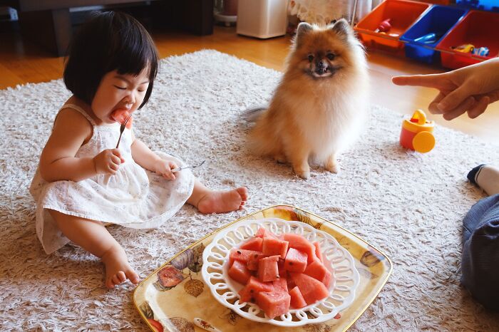 "A Portrait Of The Most Average K-Parenting Today" by Seungho Kim