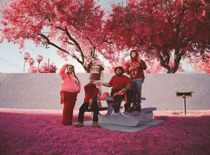 "The Palm, On Piru" by Ben Brooks
