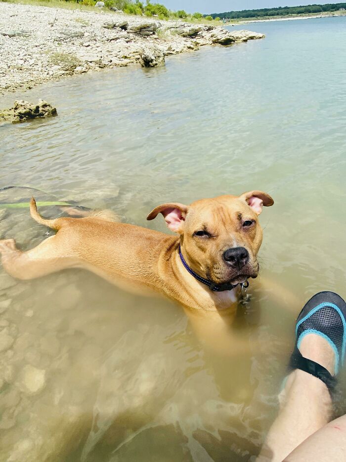 First Swim? Total Protest Mode For The First Hour. Then Look At Her Now!