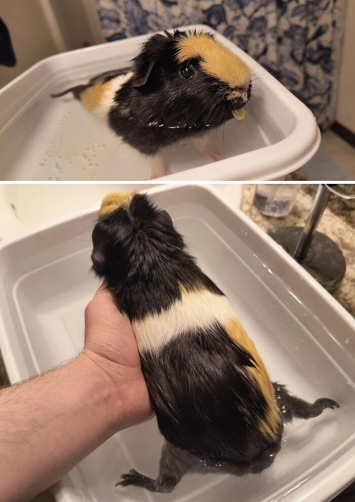S'mores Tries Water Therapy for the First Time — Small Steps, Big Moves