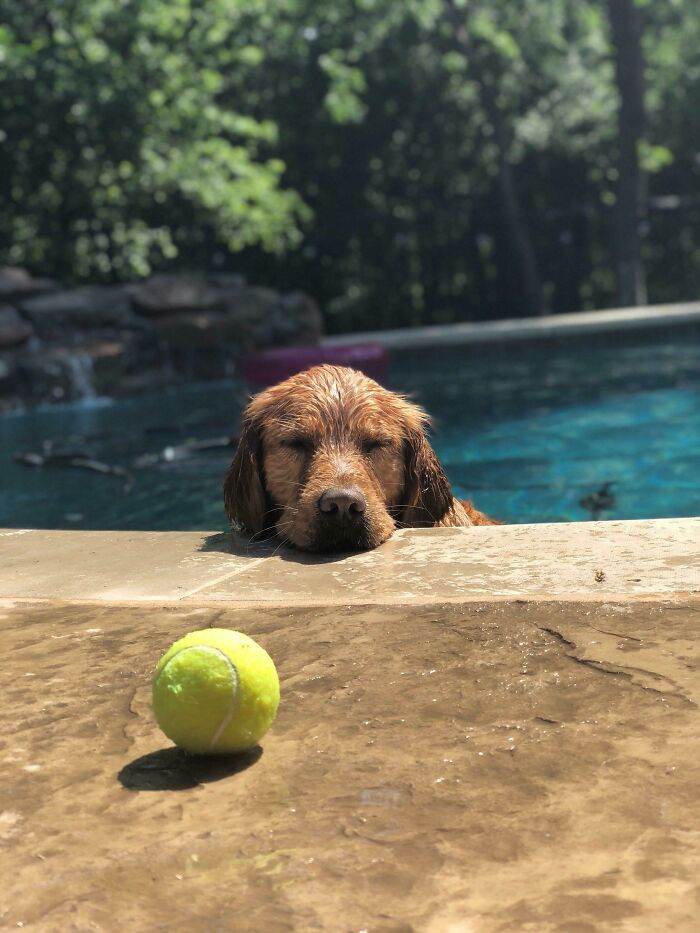 Someone’s Totally Beat from a Day of Swimming
