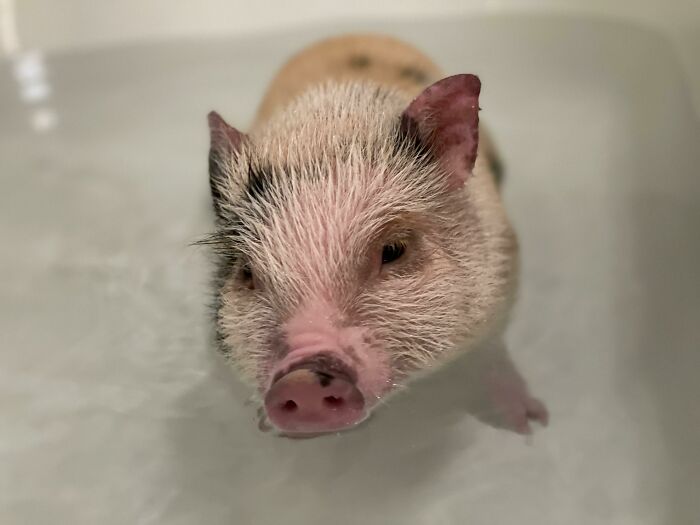 He’s a Big Fan of Tubs as Mini Pools