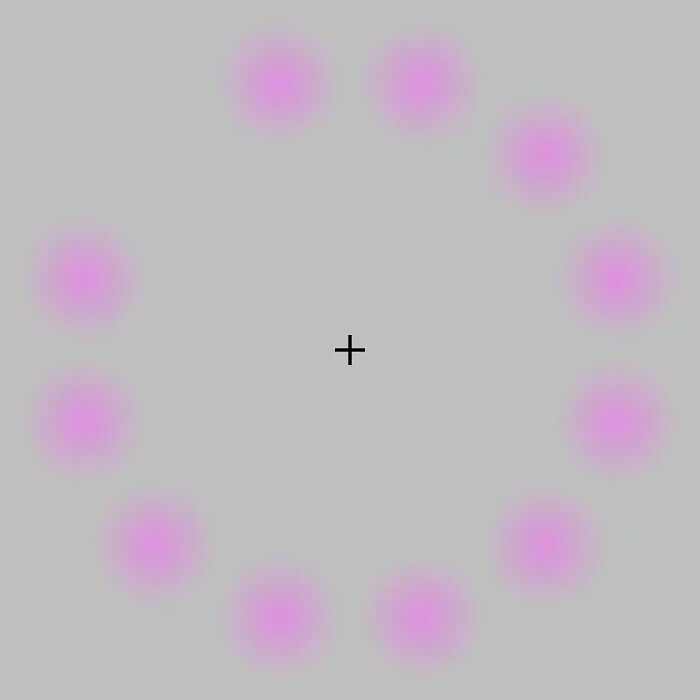 The Lilac Dots That Play Hide and Glow
