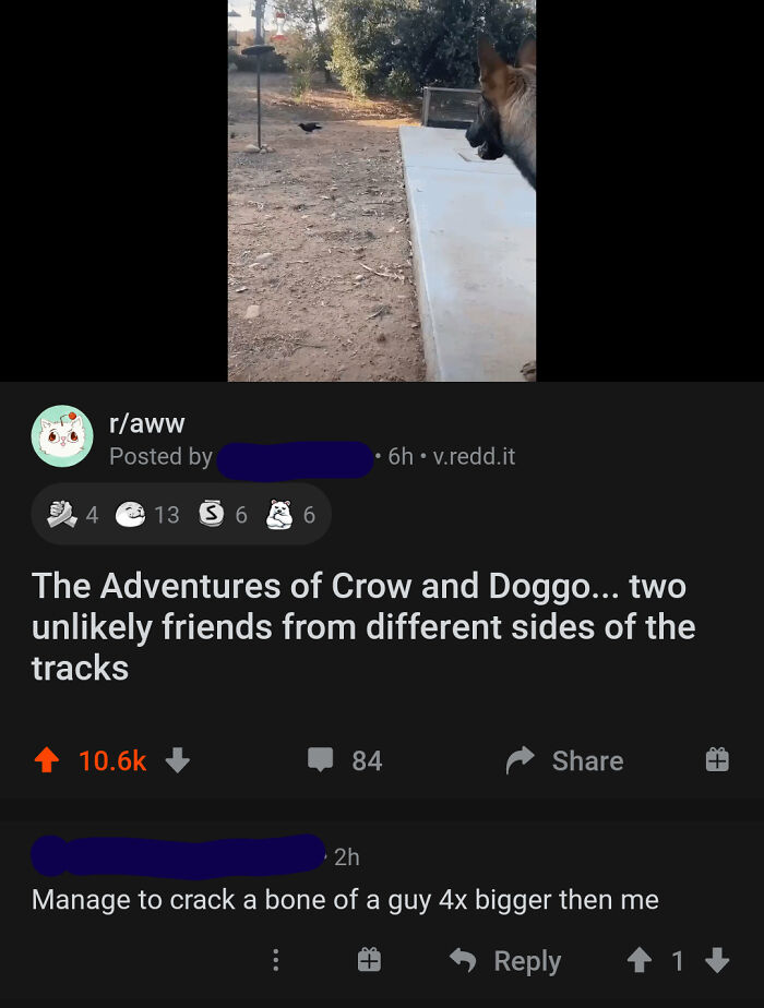 Under A Post Of A Dog & Crow – The Overshare Continues