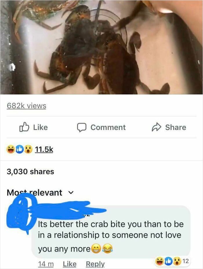 Crab Bites Hand Video Gets Extra Commentary!