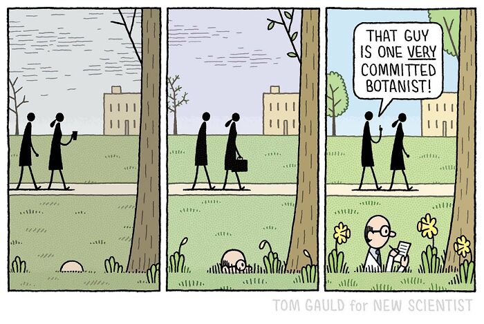 52 Comics By Tom Gauld That Make Science And Books Hilariously Cool