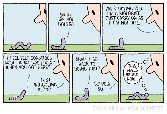 52 Comics By Tom Gauld That Make Science And Books Hilariously Cool