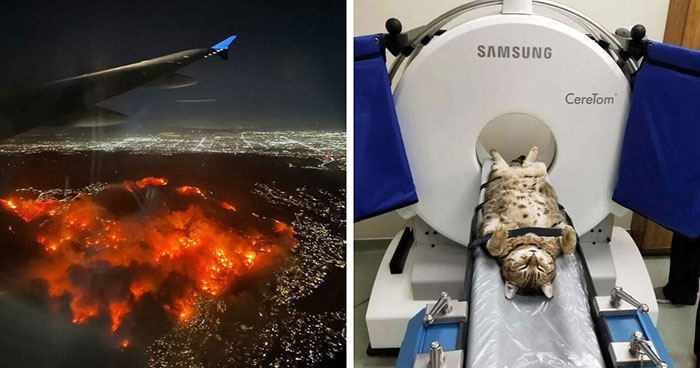 Wait, They Actually Ranked That?! 50 Weirdly Cool Pics That Make You Go Huh