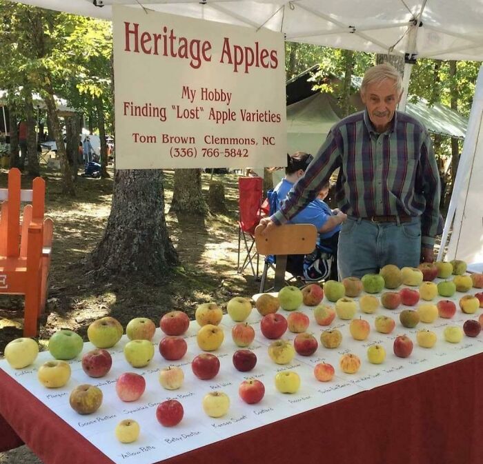 This Guy Saved 1,200 Apple Types from Vanishing! Apple Legend Alert!