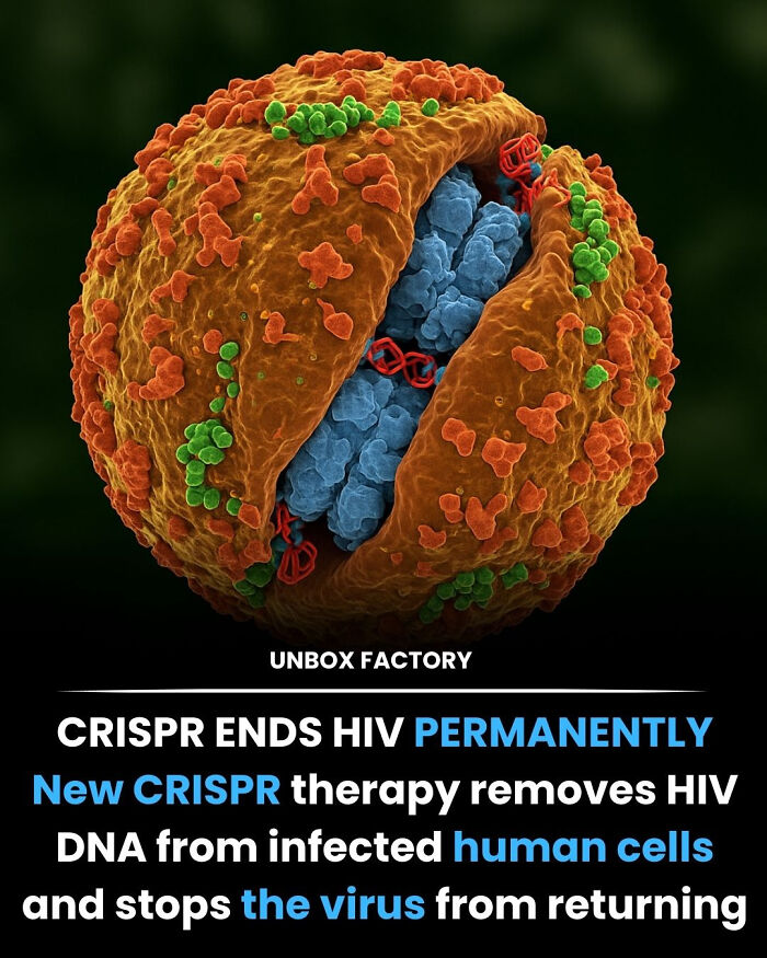 HIV Cure Incoming? Scientists Are Closing In!