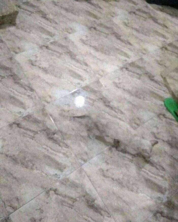 Master of Disguise: Accidental Camouflage Level Expert