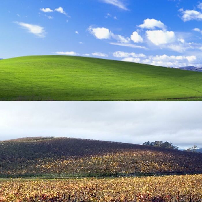 Remember This Windows XP Wallpaper? Now It’s a Bit Worn In