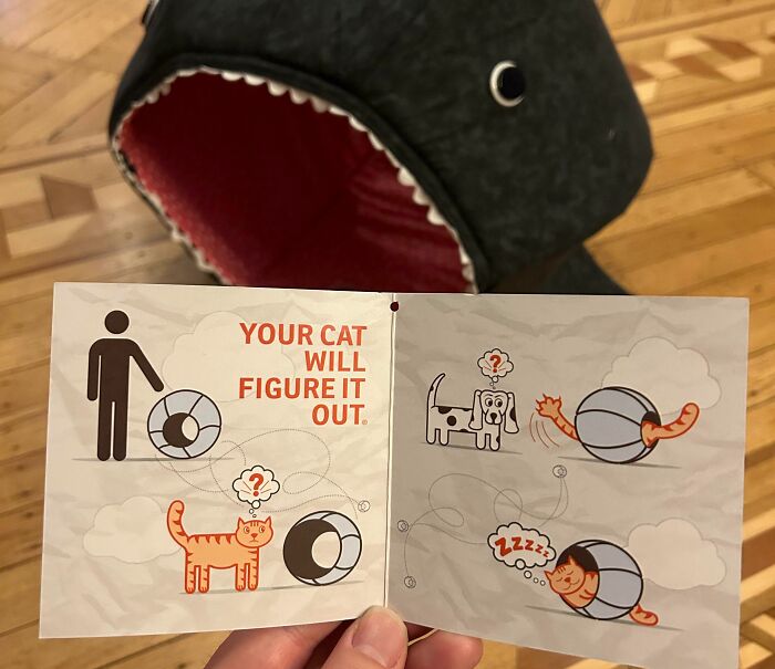 Cat Bed Instructions: "Your Cat Will Figure It Out"