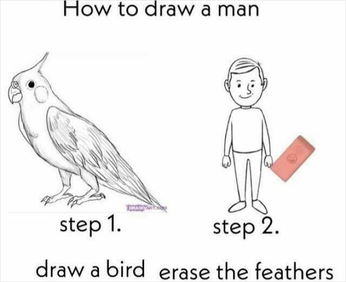 Satire Alert: Instructions Gone Wild