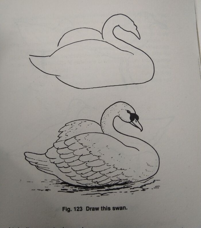 The Beautiful Swan You’re Supposed To Make