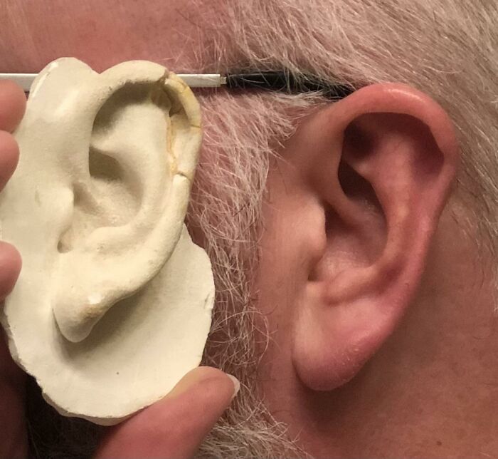 Ears That Keep Growing? Kind Of.