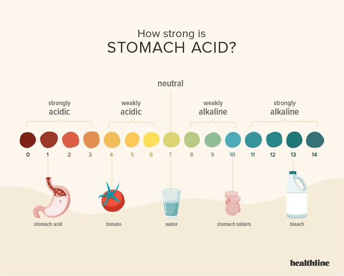 Stomach Acid That Could Eat Through Metal