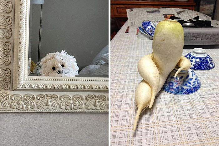 Wait, These Everyday Objects Have Faces?! Check Out 33 Hilarious Surprises