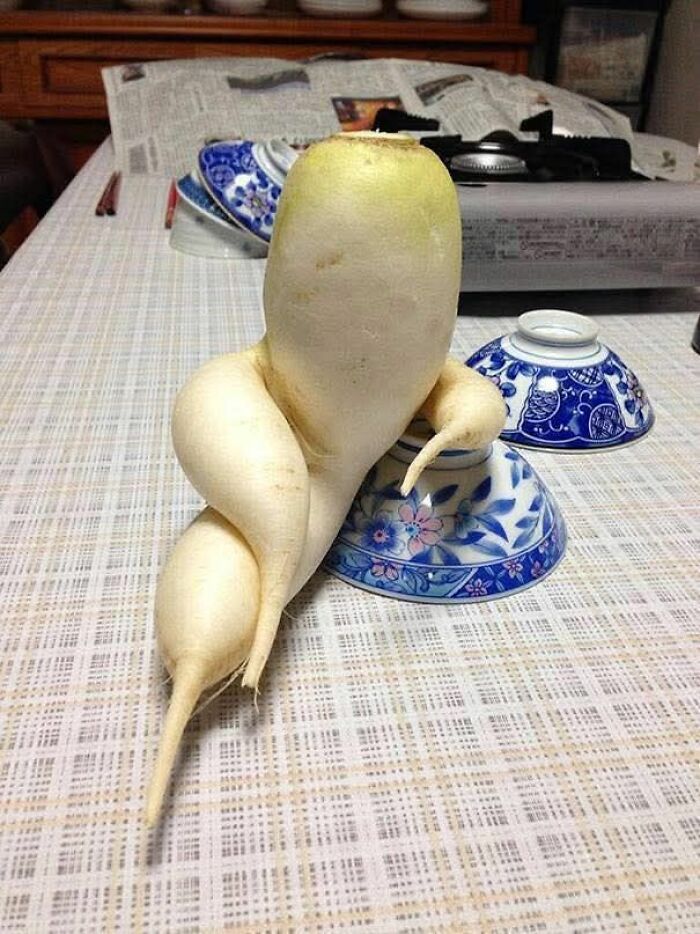 Wait, These Everyday Objects Have Faces?! Check Out 33 Hilarious Surprises