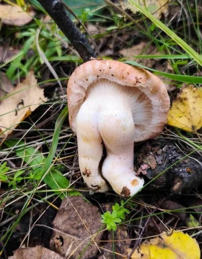 Wait, These Everyday Objects Have Faces?! Check Out 33 Hilarious Surprises