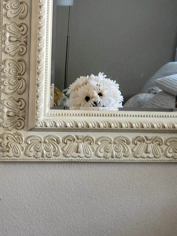 Wait, These Everyday Objects Have Faces?! Check Out 33 Hilarious Surprises