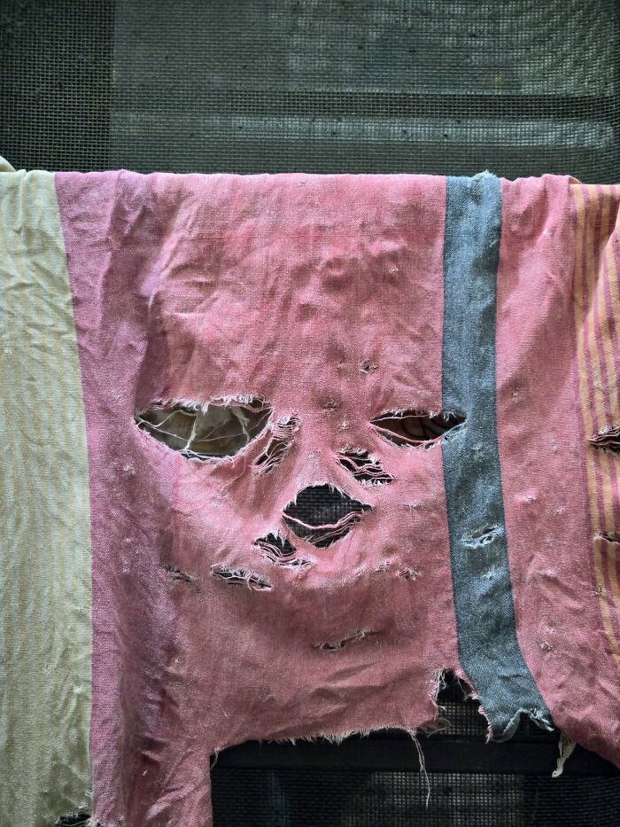 Wait, These Everyday Objects Have Faces?! Check Out 33 Hilarious Surprises