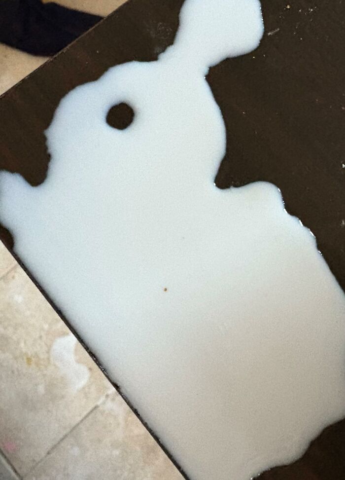Wait, These Everyday Objects Have Faces?! Check Out 33 Hilarious Surprises