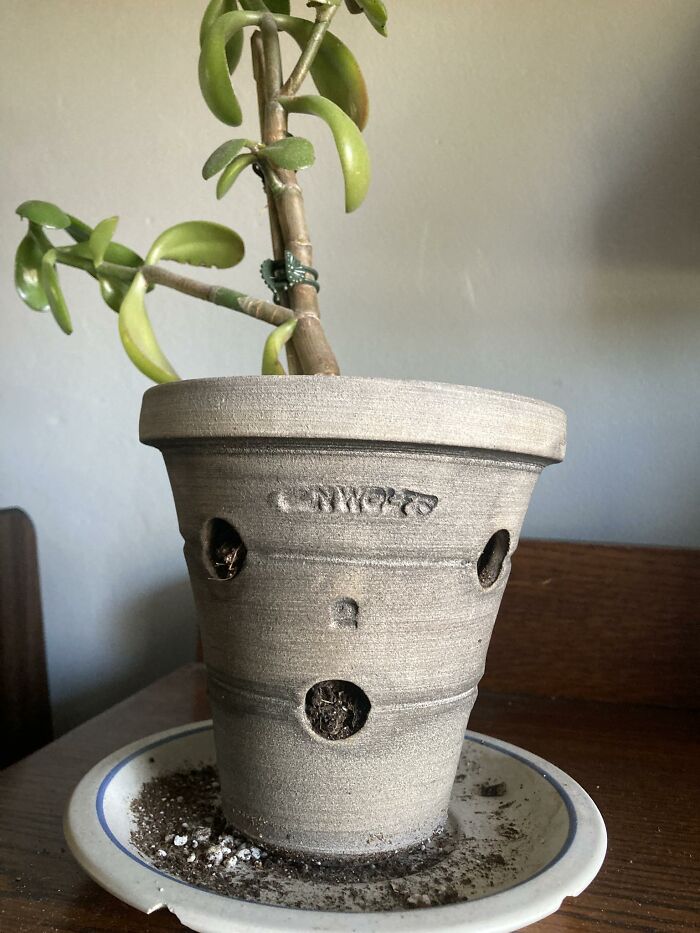 Wait, These Everyday Objects Have Faces?! Check Out 33 Hilarious Surprises