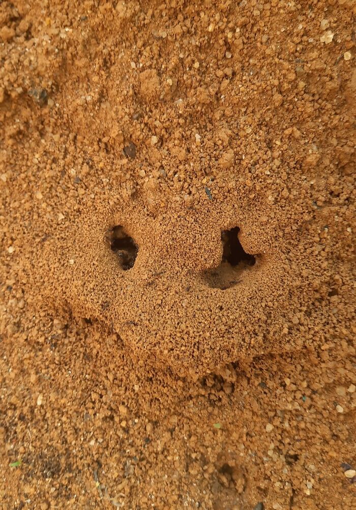 Wait, These Everyday Objects Have Faces?! Check Out 33 Hilarious Surprises