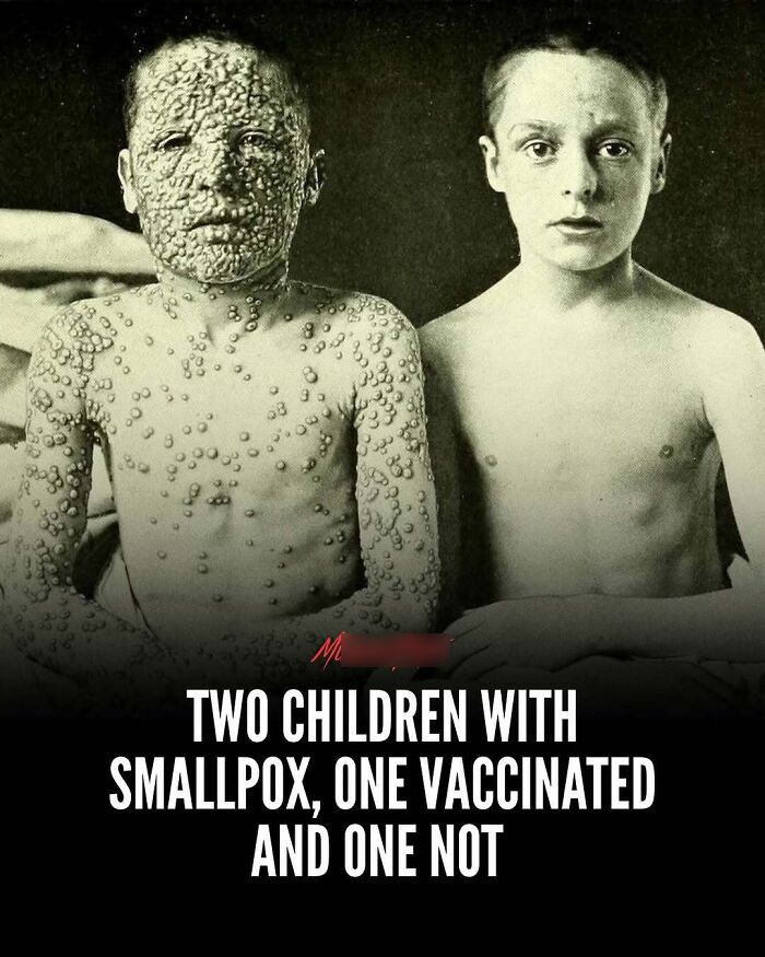 Wait, They Actually Shared These Totally Weird and Scary News Stories?