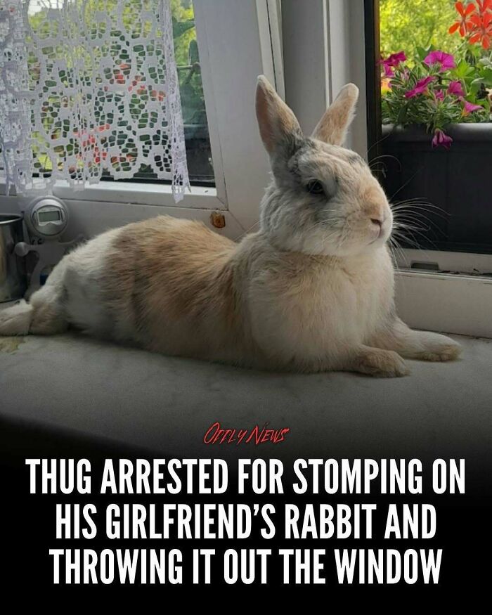 Wait, They Actually Shared These Totally Weird and Scary News Stories?
