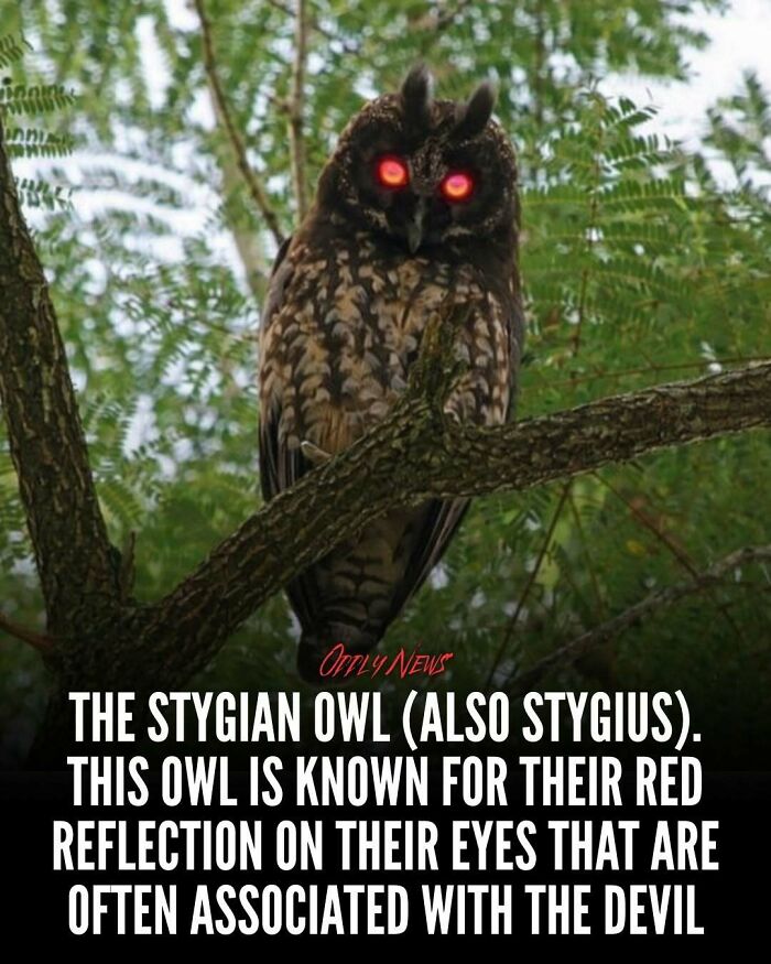 Wait, They Actually Shared These Totally Weird and Scary News Stories?
