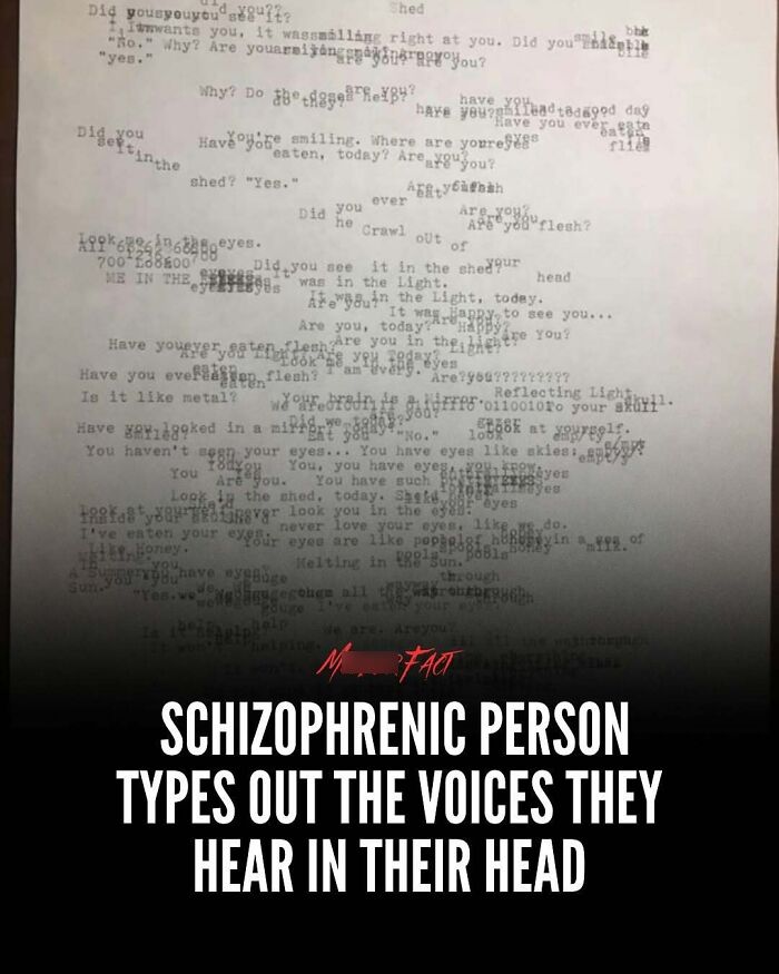 Wait, They Actually Shared These Totally Weird and Scary News Stories?